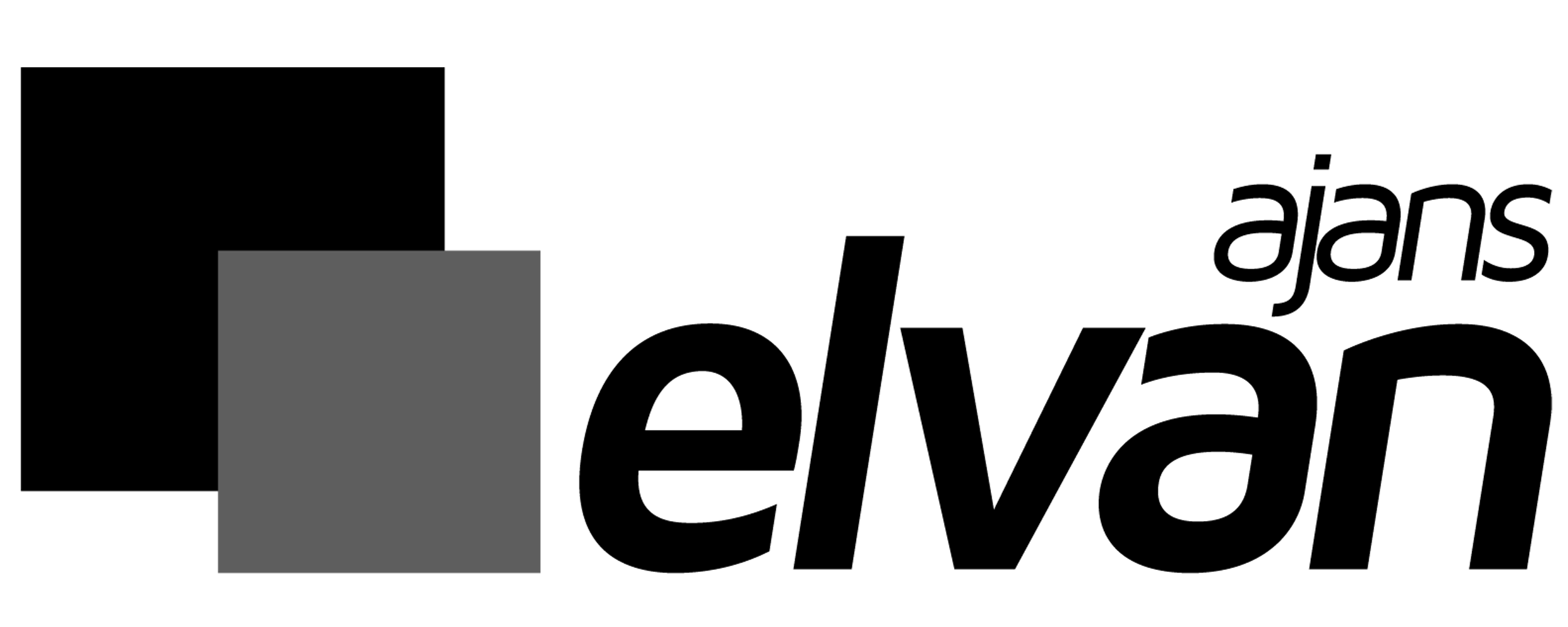 elvan-web-logo-65-white-02